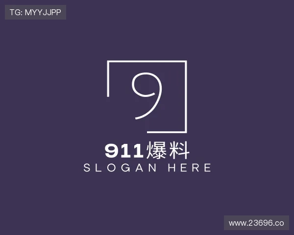 解读911爆料